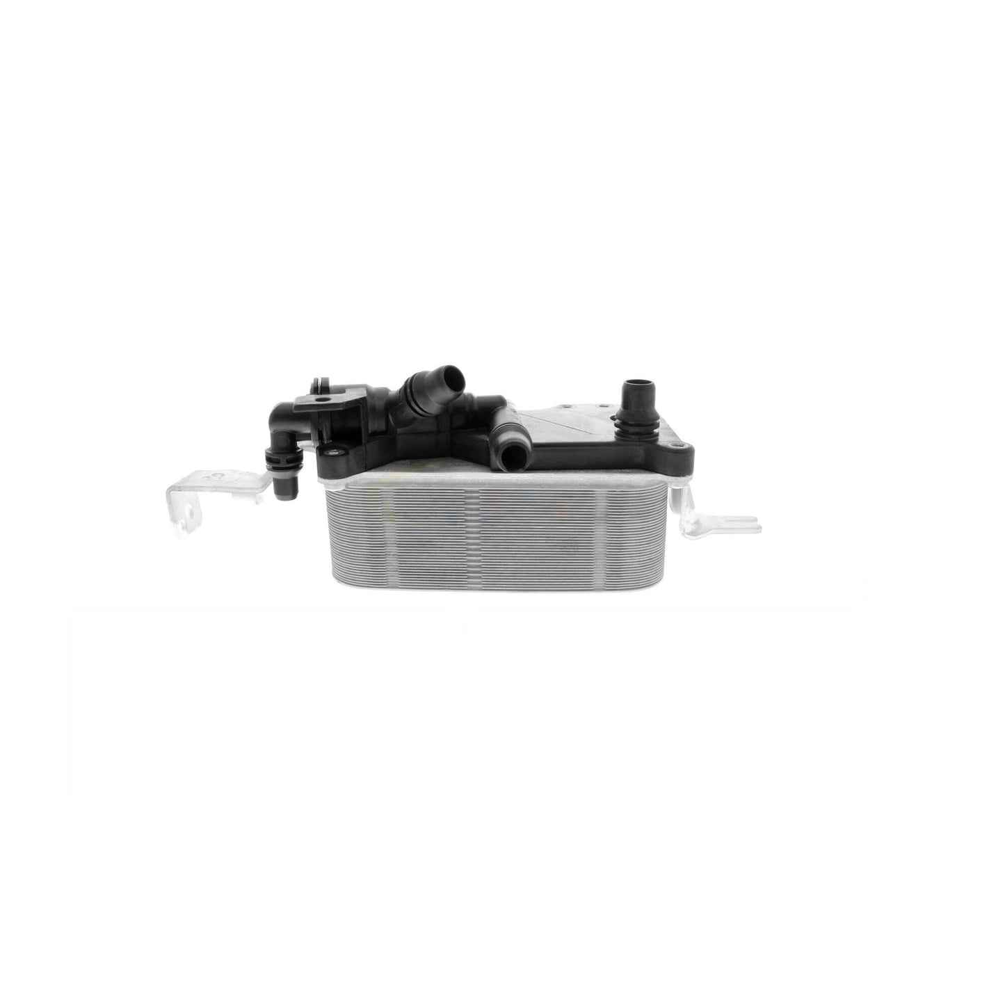 VEMO Oil Cooler, engine oil V20-60-0052
