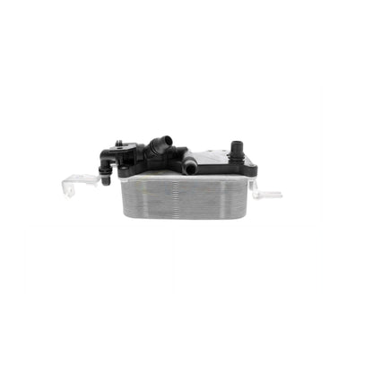 VEMO Oil Cooler, engine oil V20-60-0052
