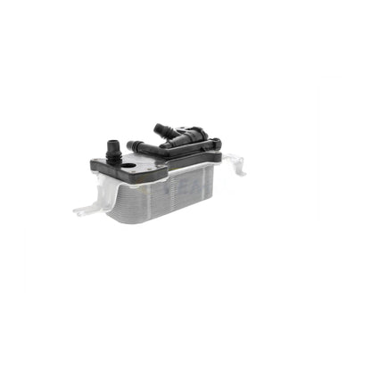 VEMO Oil Cooler, engine oil V20-60-0052