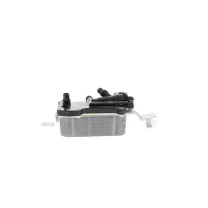 VEMO Oil Cooler, engine oil V20-60-0052