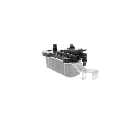 VEMO Oil Cooler, engine oil V20-60-0052