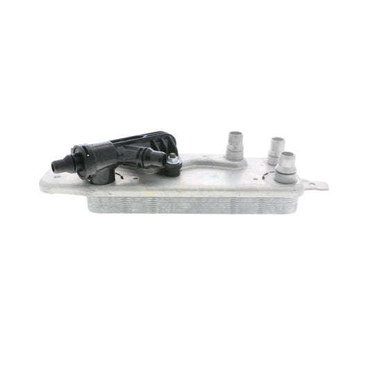 VEMO Oil Cooler, automatic transmission V20-60-0054