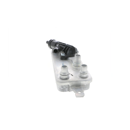 VEMO Oil Cooler, automatic transmission V20-60-0054