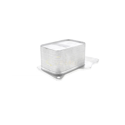 VEMO Oil Cooler, engine oil V20-60-0055
