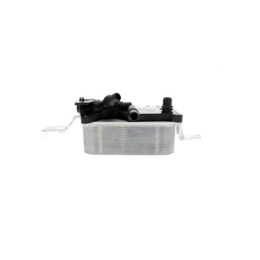 VEMO Oil Cooler, automatic transmission V20-60-0058