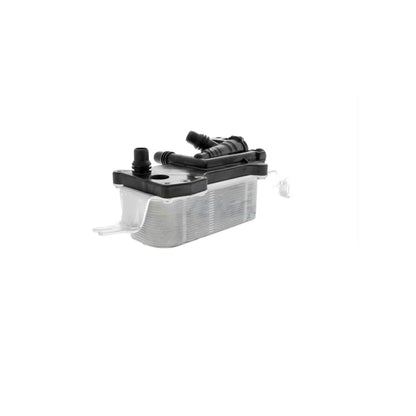 VEMO Oil Cooler, automatic transmission V20-60-0058