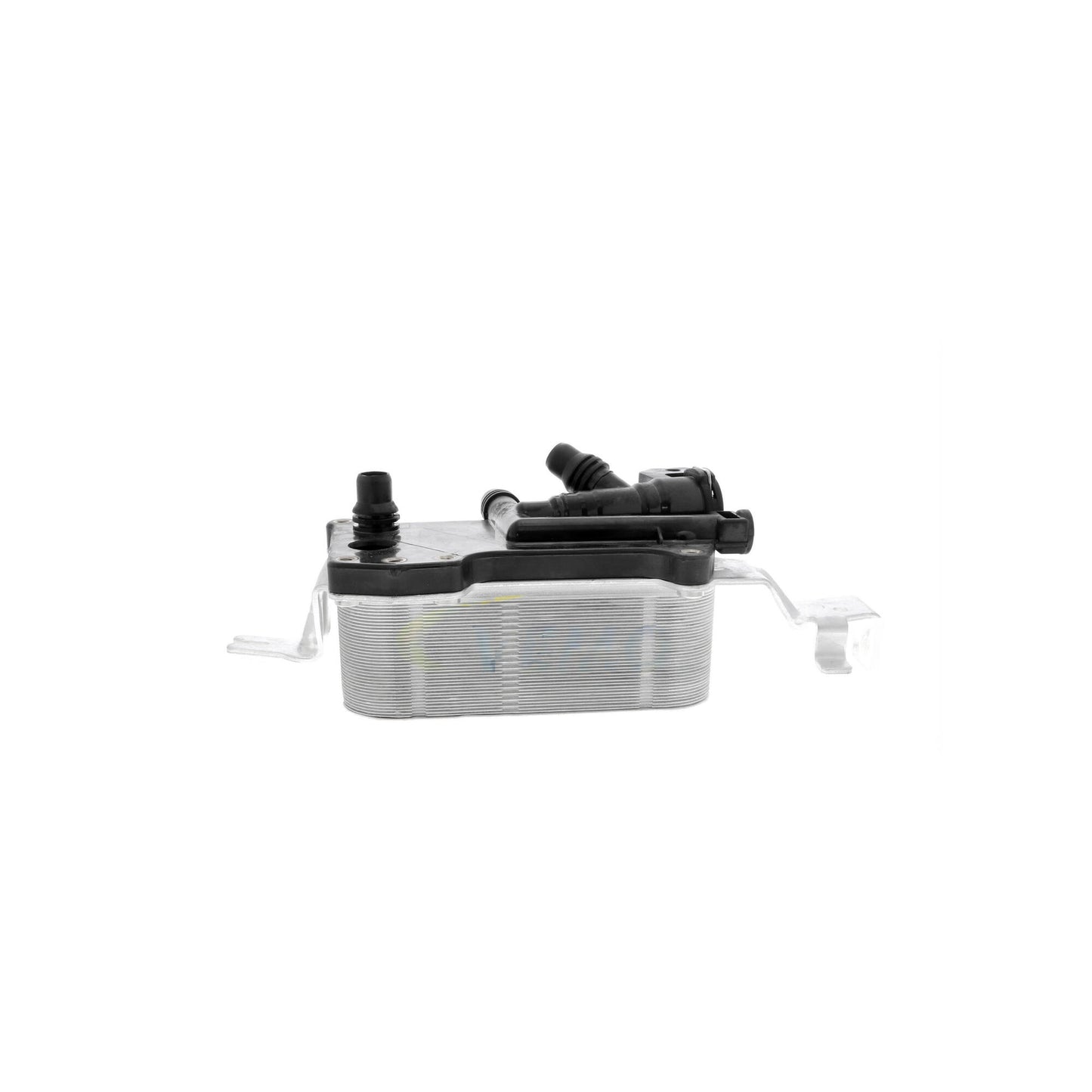 VEMO Oil Cooler, automatic transmission V20-60-0058