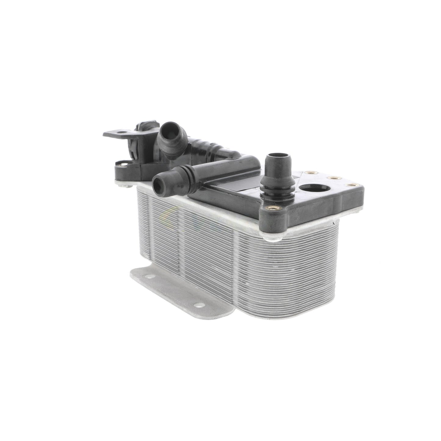 VEMO Oil Cooler, automatic transmission V20-60-0059