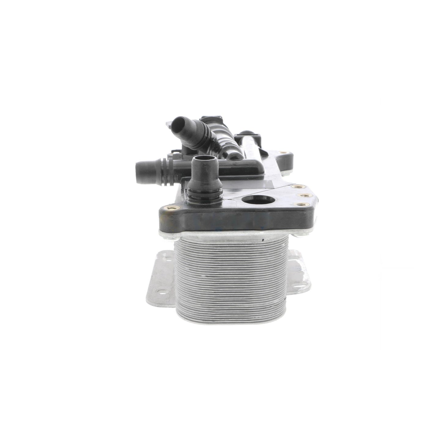 VEMO Oil Cooler, automatic transmission V20-60-0059