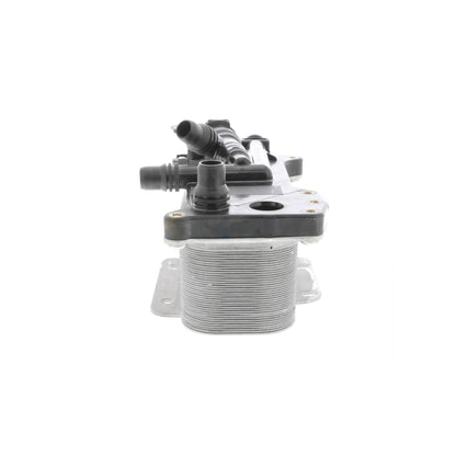 VEMO Oil Cooler, automatic transmission V20-60-0059