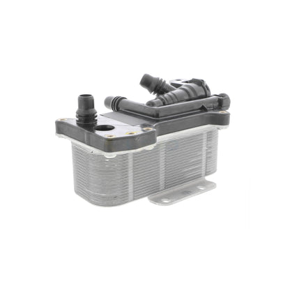 VEMO Oil Cooler, automatic transmission V20-60-0059