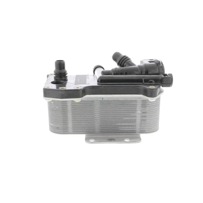 VEMO Oil Cooler, automatic transmission V20-60-0059