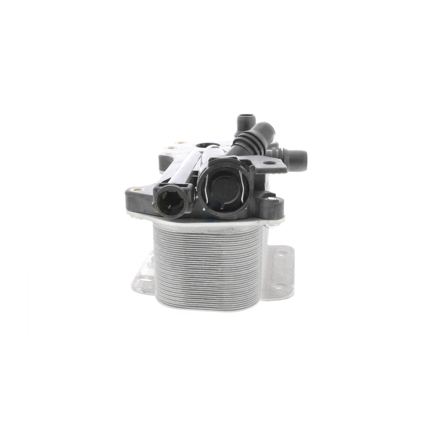 VEMO Oil Cooler, automatic transmission V20-60-0059