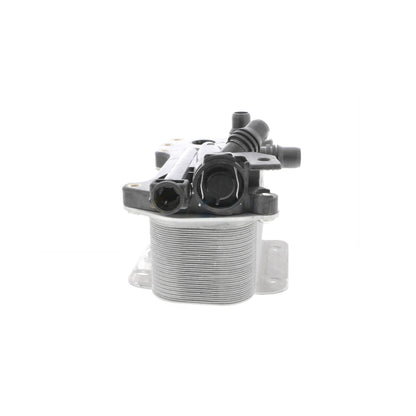 VEMO Oil Cooler, automatic transmission V20-60-0059