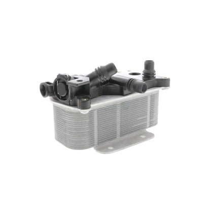 VEMO Oil Cooler, automatic transmission V20-60-0059