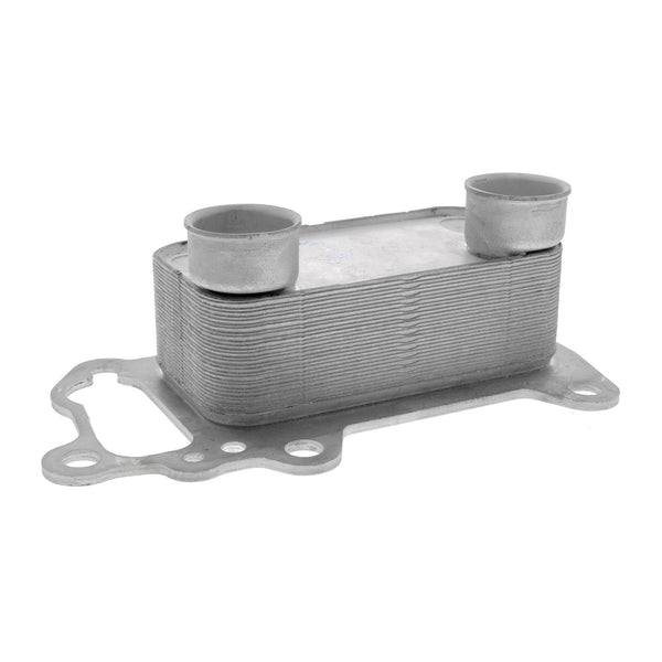VEMO Oil Cooler, engine oil V20-60-0061