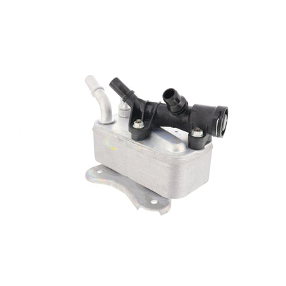 VEMO Oil Cooler, automatic transmission V20-60-1531