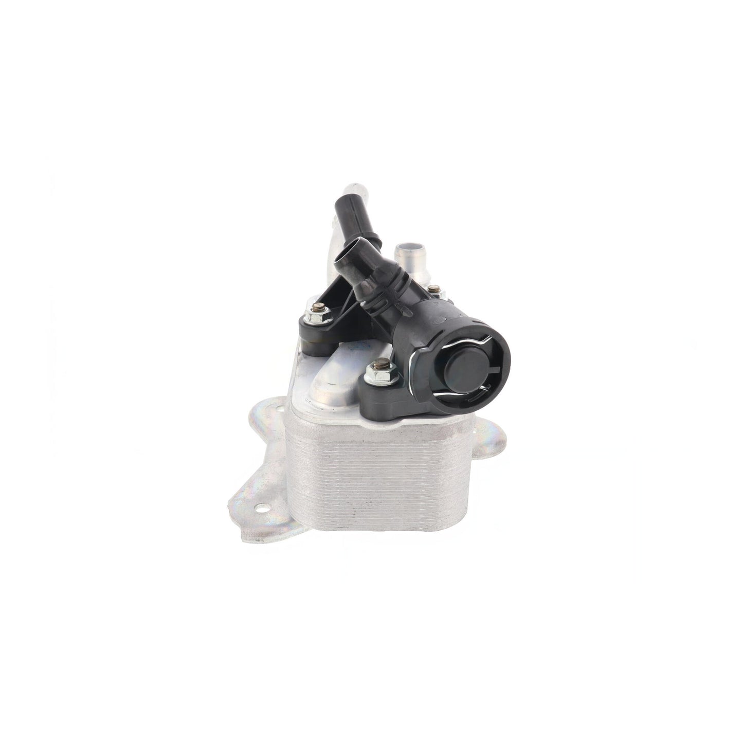 VEMO Oil Cooler, automatic transmission V20-60-1531