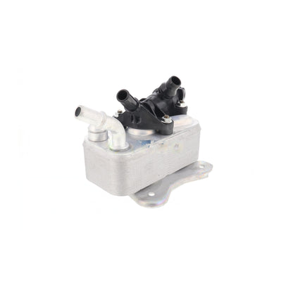 VEMO Oil Cooler, automatic transmission V20-60-1531