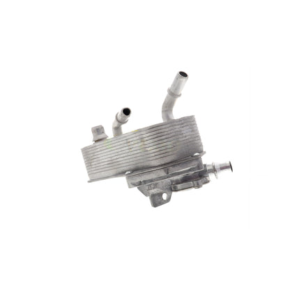 VEMO Oil Cooler, automatic transmission V20-60-1552