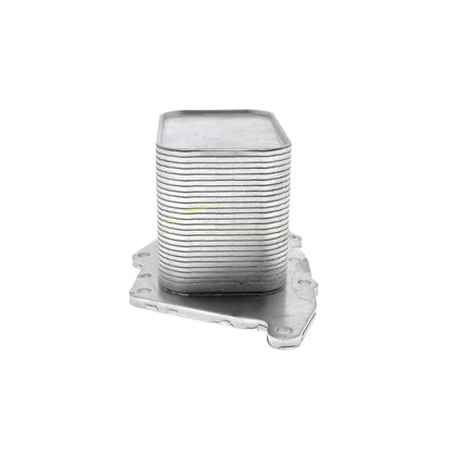 VEMO Oil Cooler, engine oil V20-60-1554