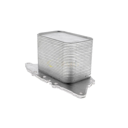 VEMO Oil Cooler, engine oil V20-60-1554