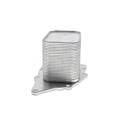 VEMO Oil Cooler, engine oil V20-60-1554