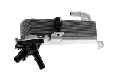 VEMO Oil Cooler, automatic transmission V20-60-1660