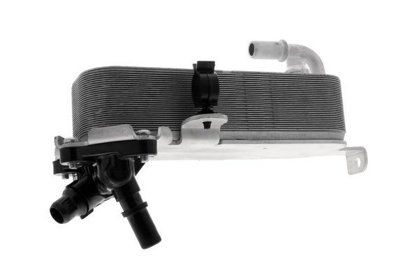 VEMO Oil Cooler, automatic transmission V20-60-1660
