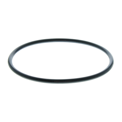 VAICO Oil Filter V24-0008