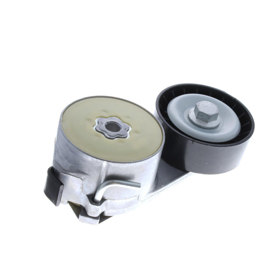 VAICO Tensioner Pulley, V-ribbed belt V24-0141