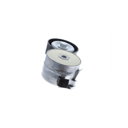 VAICO Tensioner Pulley, V-ribbed belt V24-0141