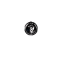 VAICO Shock Absorber V24-0166