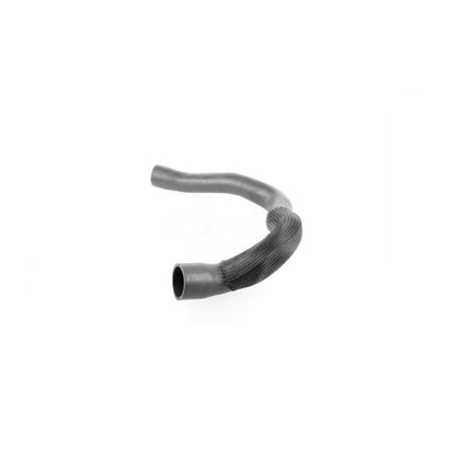VAICO Charge Air Hose V24-0679
