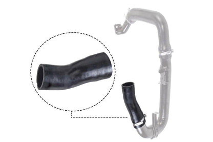 VAICO Charge Air Hose V24-0697