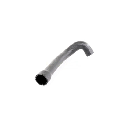 VAICO Charge Air Hose V24-0719