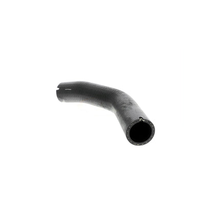 VAICO Charge Air Hose V24-0733