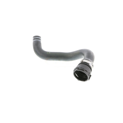 VAICO Radiator Hose V24-0822