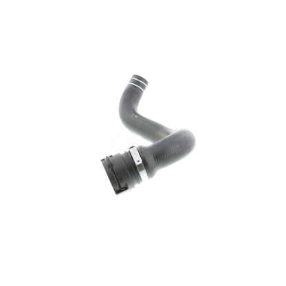 VAICO Radiator Hose V24-0822