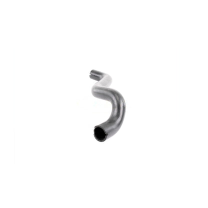 VAICO Radiator Hose V24-0868