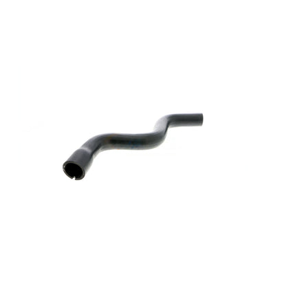 VAICO Radiator Hose V24-0875
