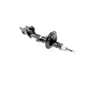 VAICO Shock Absorber V24-0934
