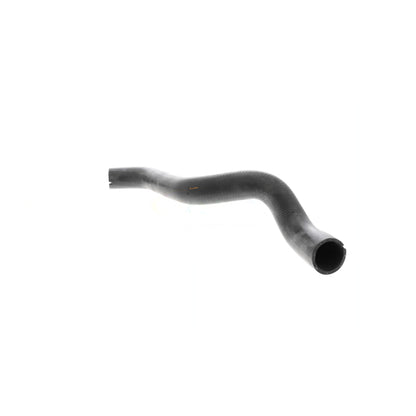VAICO Radiator Hose V24-1075