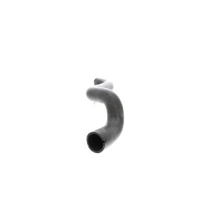 VAICO Radiator Hose V24-1075