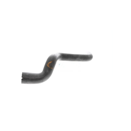 VAICO Radiator Hose V24-1075