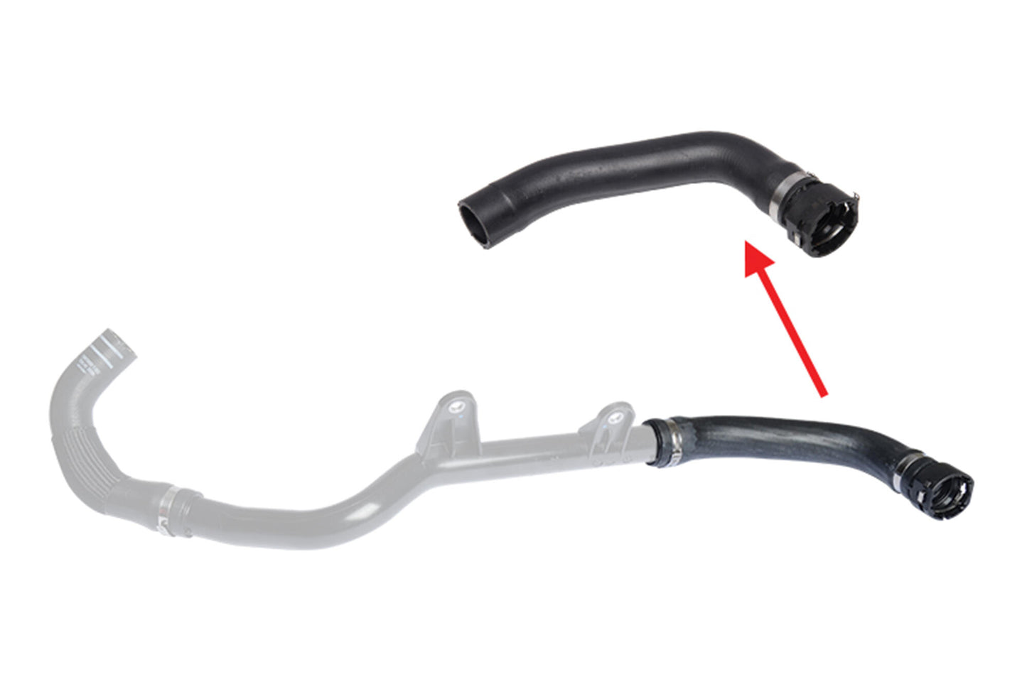 VAICO Radiator Hose V24-1441