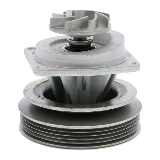 VAICO Water Pump, engine cooling V24-50009