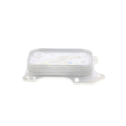 VEMO Oil Cooler, engine oil V24-60-0001