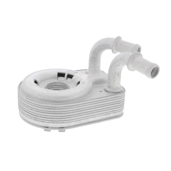 VEMO Oil Cooler, engine oil V24-60-0013