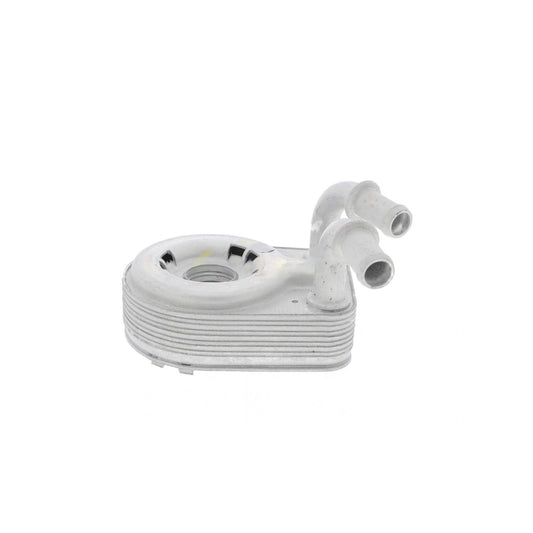 VEMO Oil Cooler, engine oil V24-60-0013